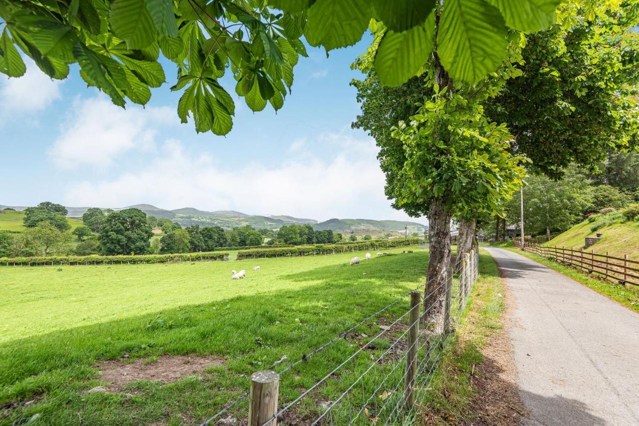 Waedog Bach Vila Llanfor Exterior foto